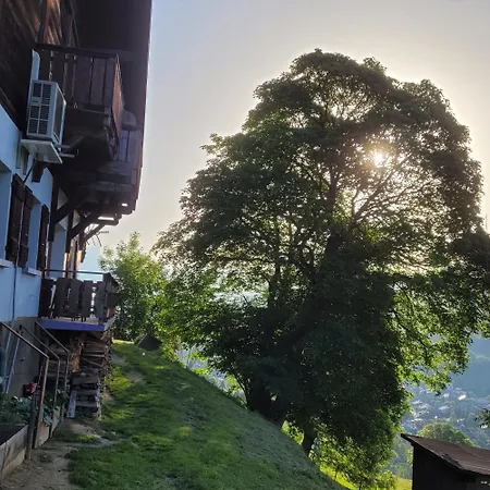 De L Auguille Apartment