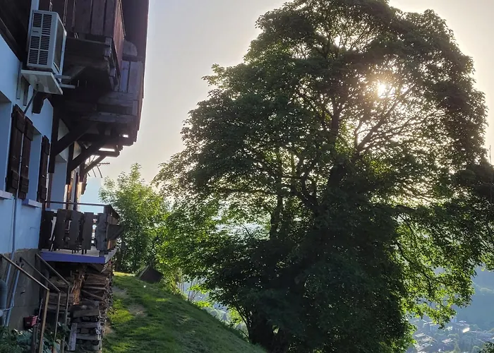 De L Auguille Appartement