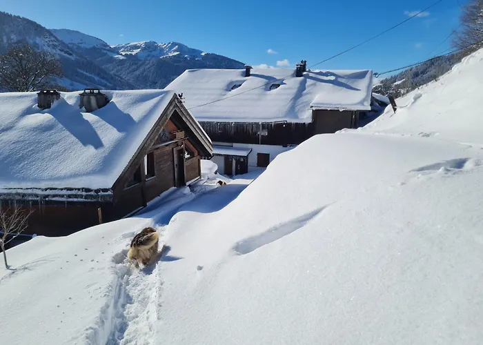 De L Auguille Appartement